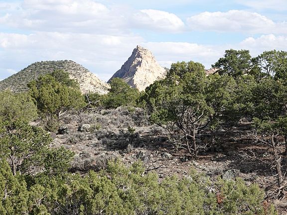 2nd image of 1115 E Donkey Flats Rd
