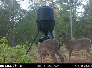 Davis Lake Rd, Pine Mountain, GA 31822