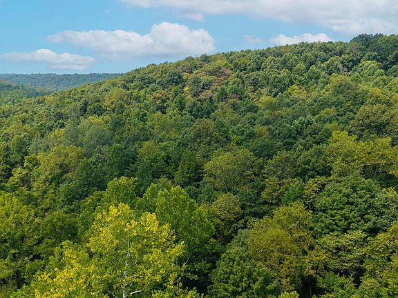 4th image of 0 Bear Run Rd