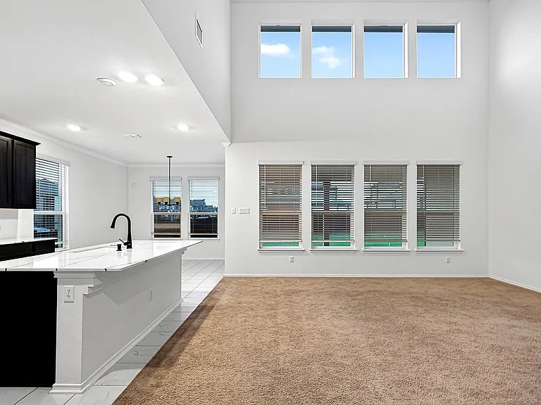 4600 Ercolano Ln — Photo 27