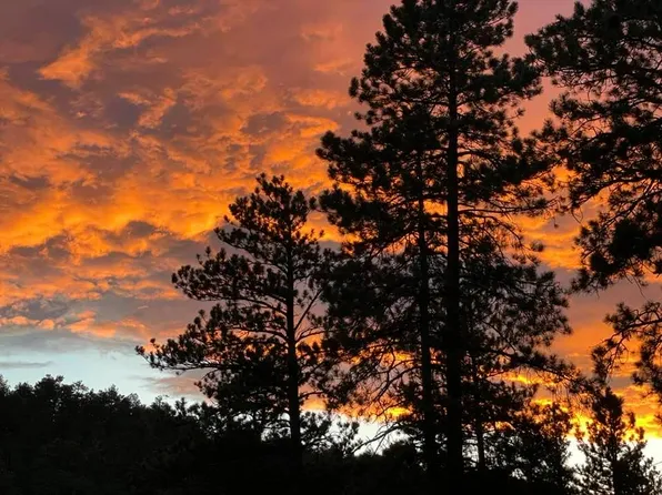 3204 Piney Ridge Rd, Evergreen, CO 80439