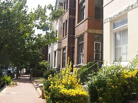 2125 N St NW #C — Photo 12