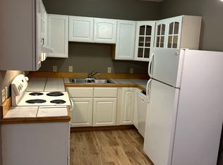 106 Walnut Ave SUITE 108, Madison Lake, MN 56063