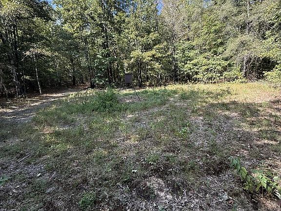 2nd image of 371 County Road 4266