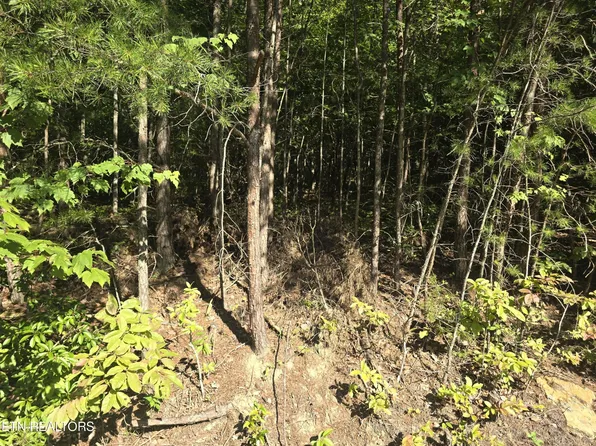 29 Byron Ln Lot 13, Crossville, TN 38558