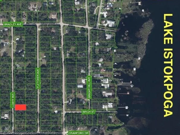 435 Leahy Ave, Lake Placid, FL 33852