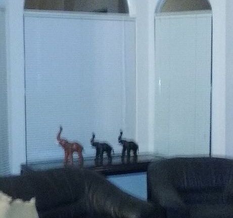 2nd image of 3801 Tierra Nube Ln
