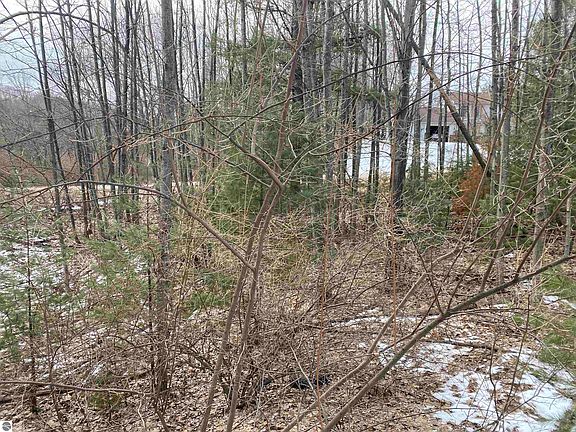 2nd image of LOT 32 Scenic Hills Dr