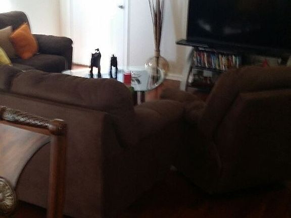 4th image of 1875 Pineta Cove Dr
