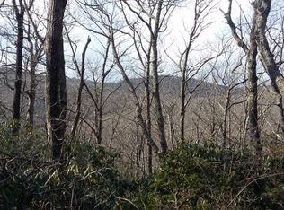 000 Edgeview Dr, Meadows of Dan, VA 24120