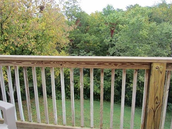 view from back deck