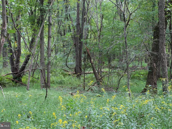 LOT 6 Summer Valley Rd, New Ringgold, PA 17960