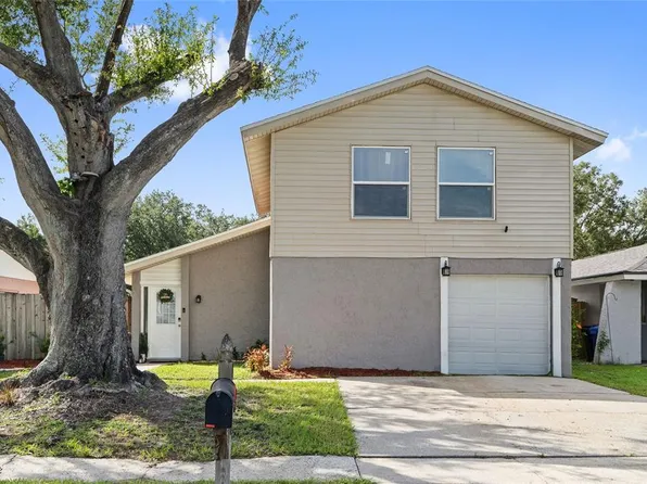 4518 Millpond Ln, Tampa, FL 33624