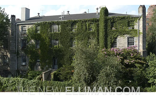 Rented by Douglas Elliman | media 36