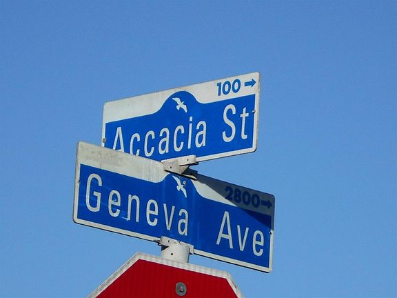 5th image of 324 Accacia St