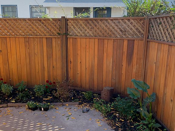 Patio, Mature Plant not included in this photo