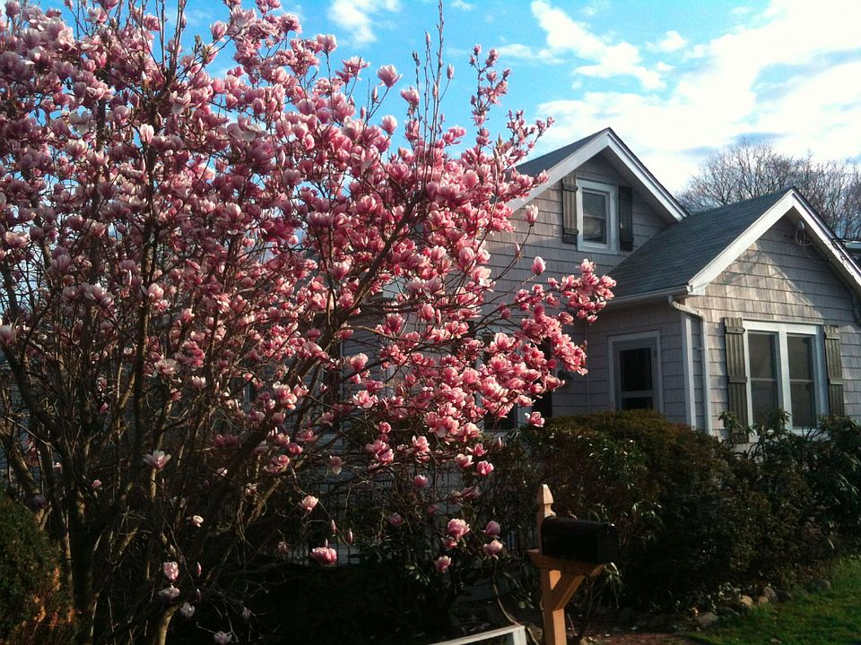 2nd image of 81 E 13th St