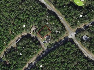 10096 N Wayland Ave, Citrus Springs, FL 34434