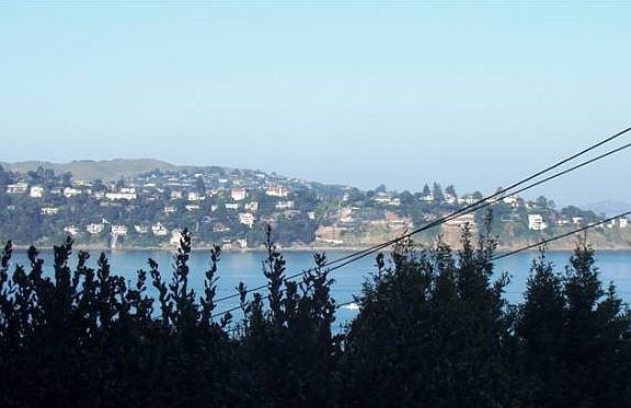 Tiburon & Belvedere View