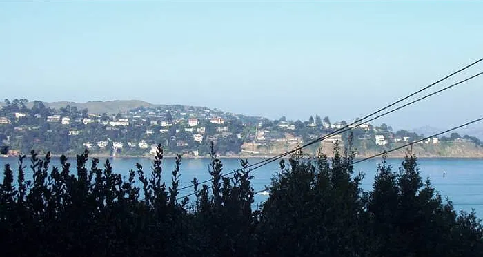 Tiburon & Belvedere View