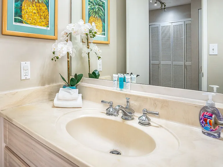 Wailea Ekolu Pl — Photo 25