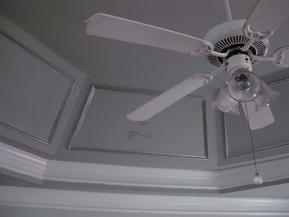 trey ceiling in living room