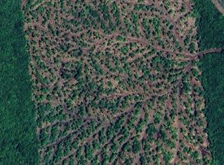 Sharrett Rd, Ellenburg, NY 12933