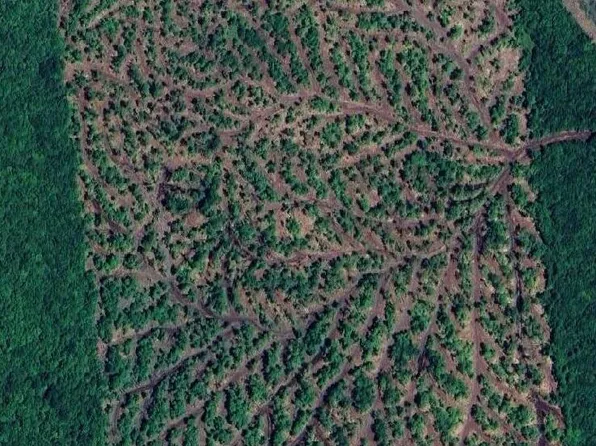 Sharrett Rd, Ellenburg, NY 12933