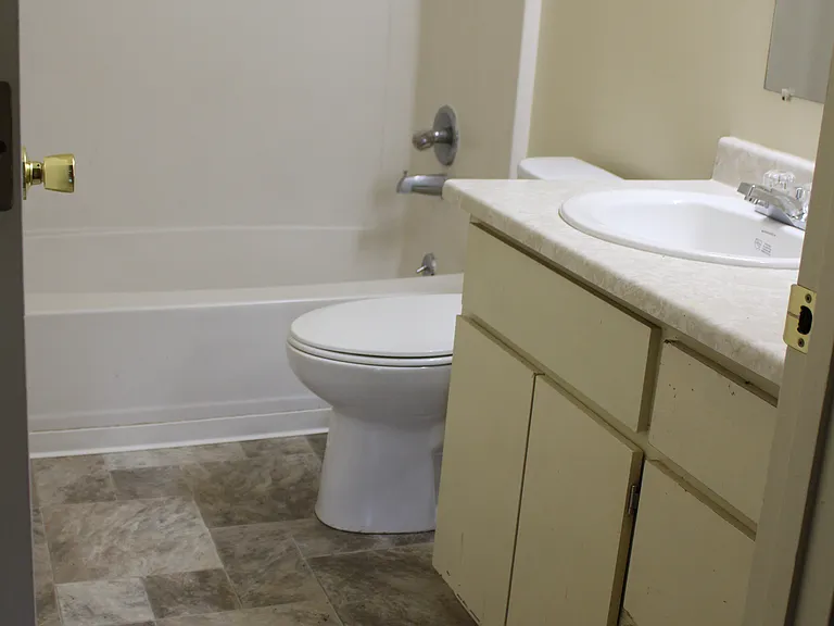Bathroom, New Floors, Toilet, Sink, Faucet