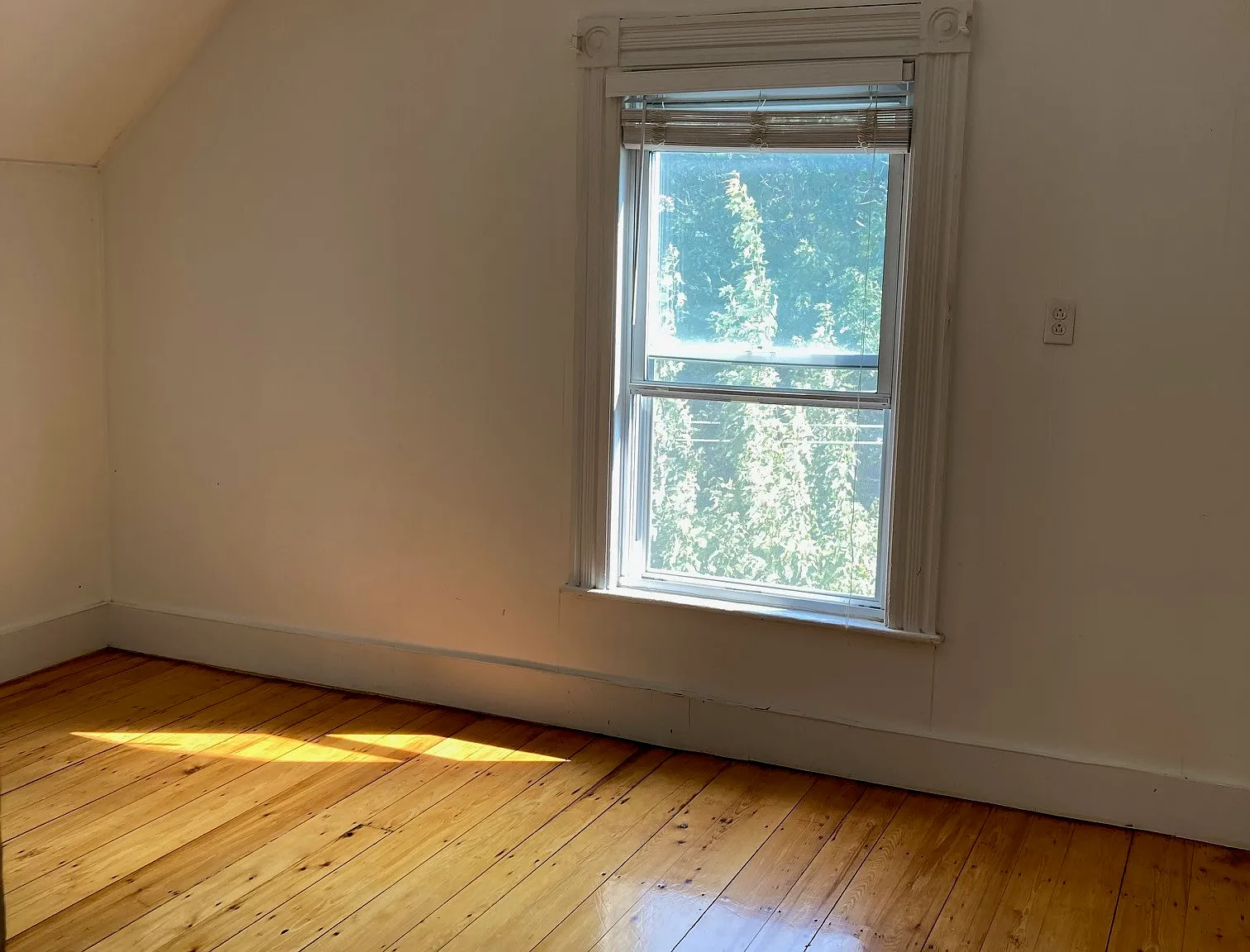 1 bed, $2,350 — Photo 2