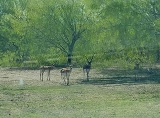 20030 Fallow Ln, Edinburg, TX 78542