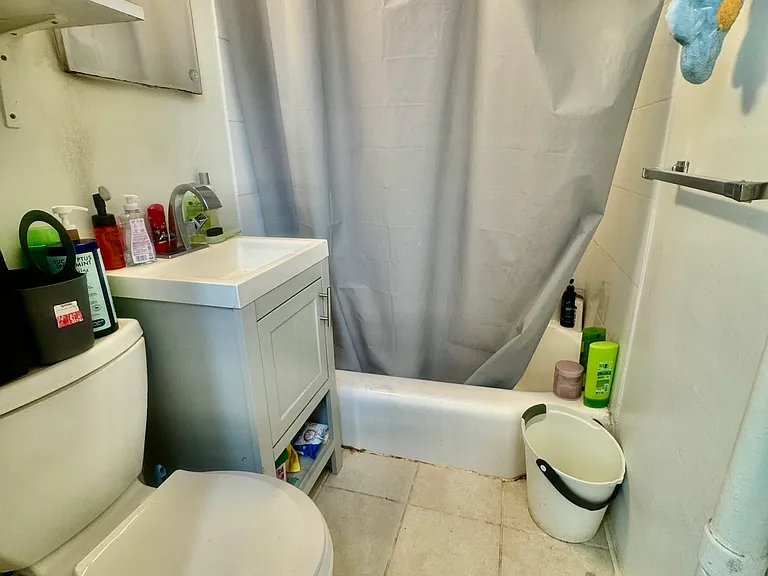 260 W 135th St #1C — Photo 9