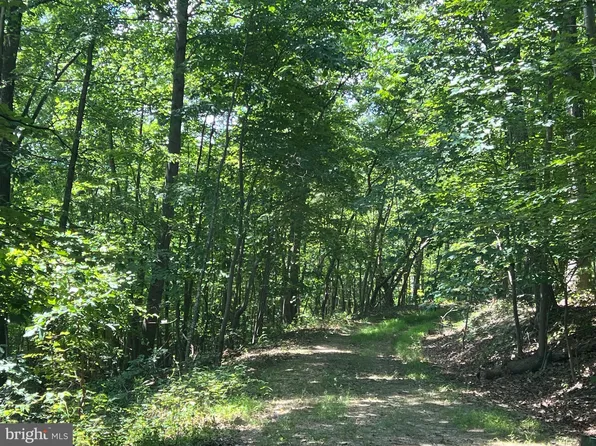 Donna Ct, Front Royal, VA 22630