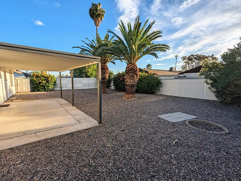 Backyard