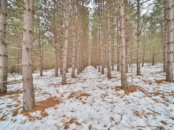 Sleepy Hollow Rd, Fort Ripley, MN 56449