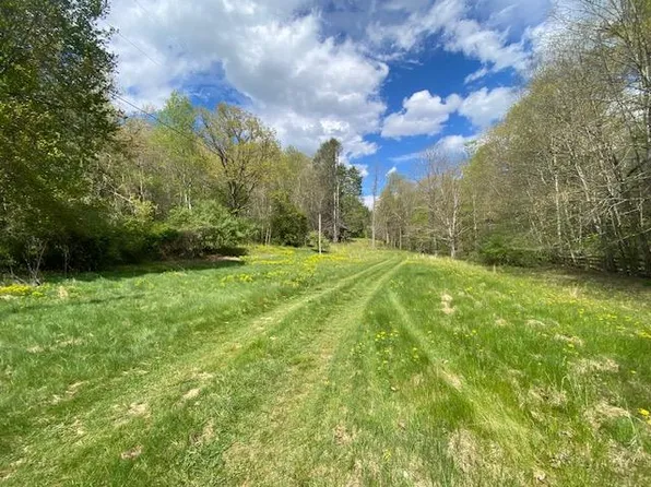 No Business Creek Rd, Bland, VA 24315