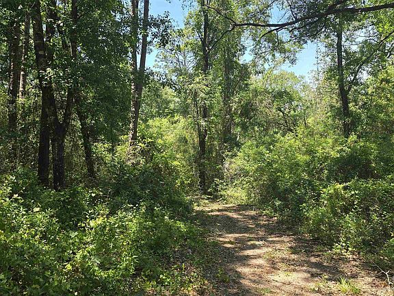 4th image of 0 Toler Rd