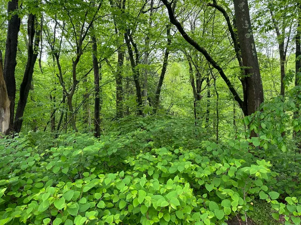 66 Union City Road, Prospect, CT 06712