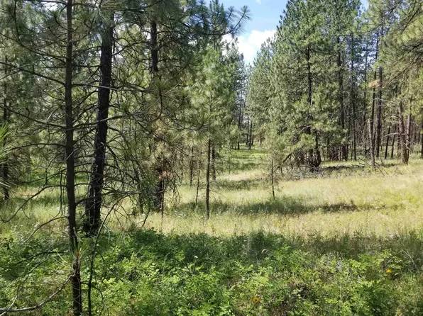 LOT 1 W Glen Grove Staley Rd, Deer Park, WA 99006