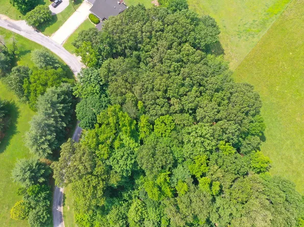 0 Major Wallace Rd Lot 32, Cadiz, KY 42211