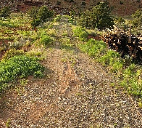 Driveway to 1.9 acres