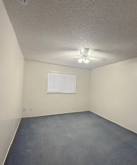 4335 N Ellendale Ave — Photo 7