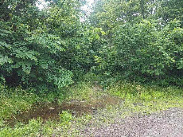 Green Ridge Rd, Peebles, OH 45660