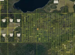 Holopaw Groves Rd, Saint cloud, FL 34772