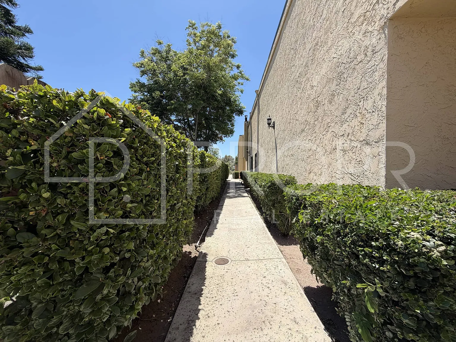 3240 Olive Street | Olive Apartments | Move In Specials | — Photo 4