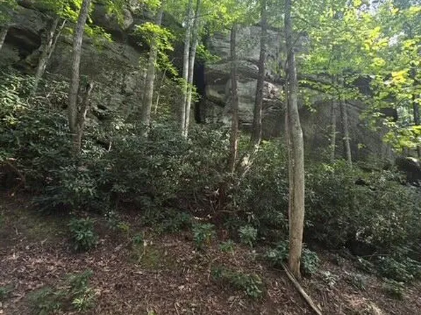 LOT 113 Fixer Rd, Zoe, KY 41397