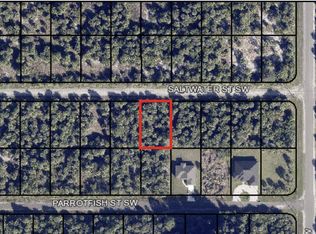 834 Saltwater St SW, Palm Bay, FL 32908