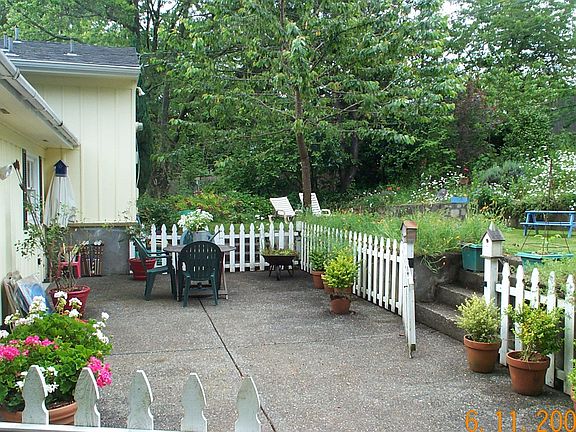 back yard