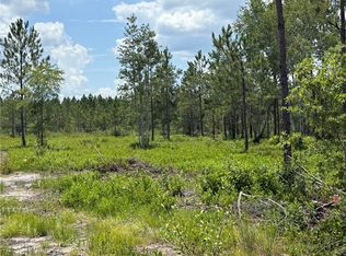 0 Elmer Thrift Rd, Waycross, GA 31503