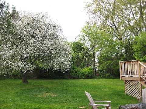 3rd image of 21 Maynard Dr